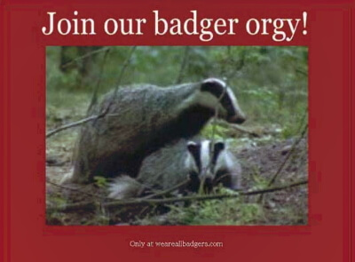 Badger Orgy Front
